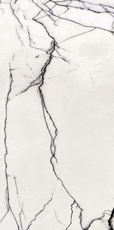 B&W Breach High-Glossy 24 x 48